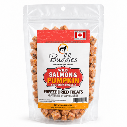Freeze-Dried Salmon & Pumpkin 65g