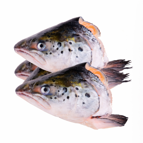 Whole Salmon Heads - 3# Bag